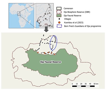 A map showing the location of villages on the periphery of the Dja Faunal Reserve included in the study, as well as the location of the Guardians of Dja programme.