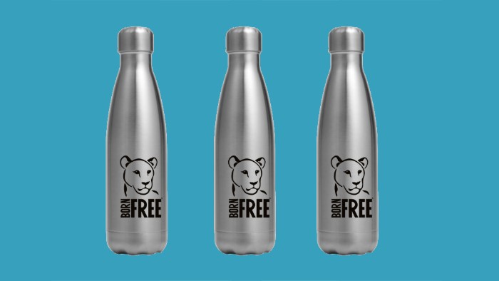Three stainless steel Born Free branded drinking bottles on a blue background