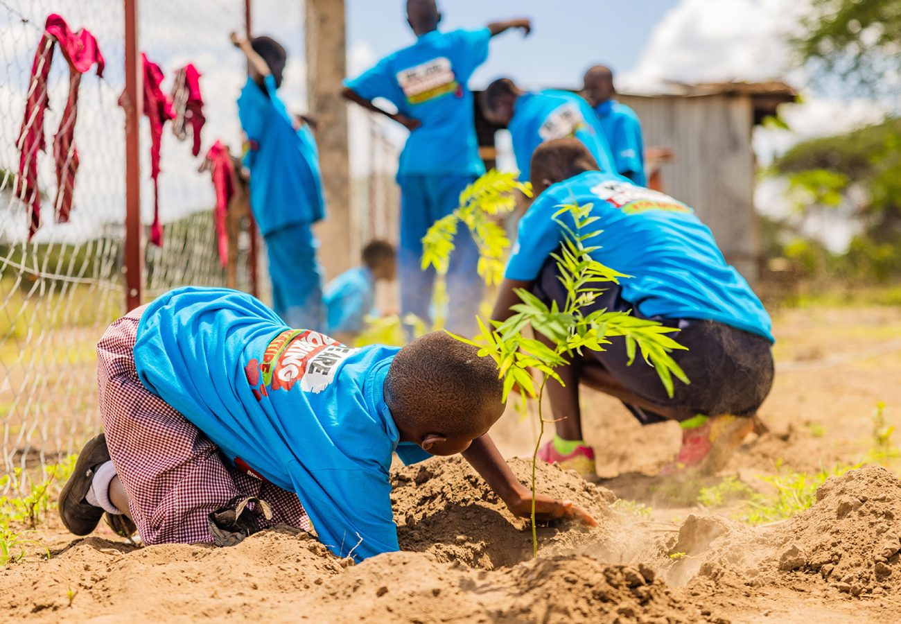 Two Kenyan school children in matching blue Tshirts are planting a tree sapling into the ground