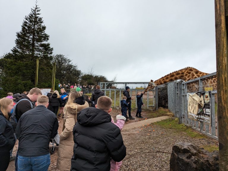 Giraffe feeding at Safari Zoo © Born Free