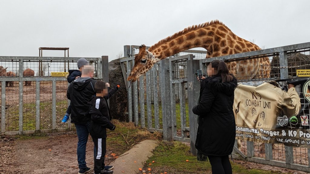 A photo of a giraffe leaning over a metal railing, being fed by some people with blurred faces. The giraffe enclosure is barren