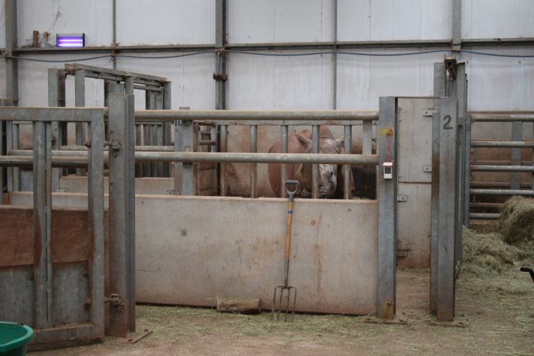Indoor rhino enclosure at Safari Zoo © Born Free