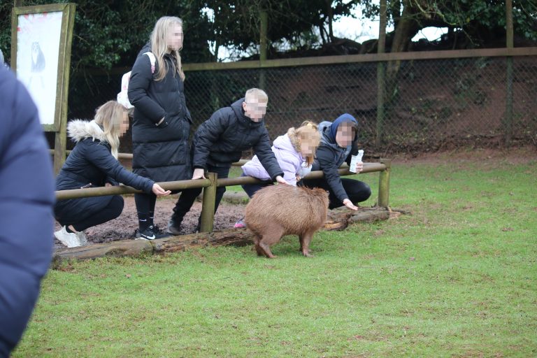 Animal feeding at Safari Zoo © Born Free
