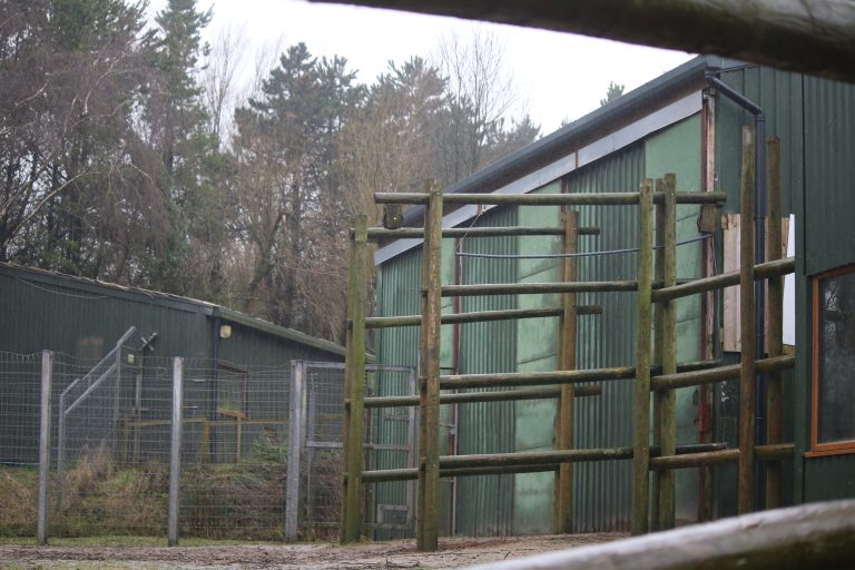 Enclosures at Safari Zoo © Born Free