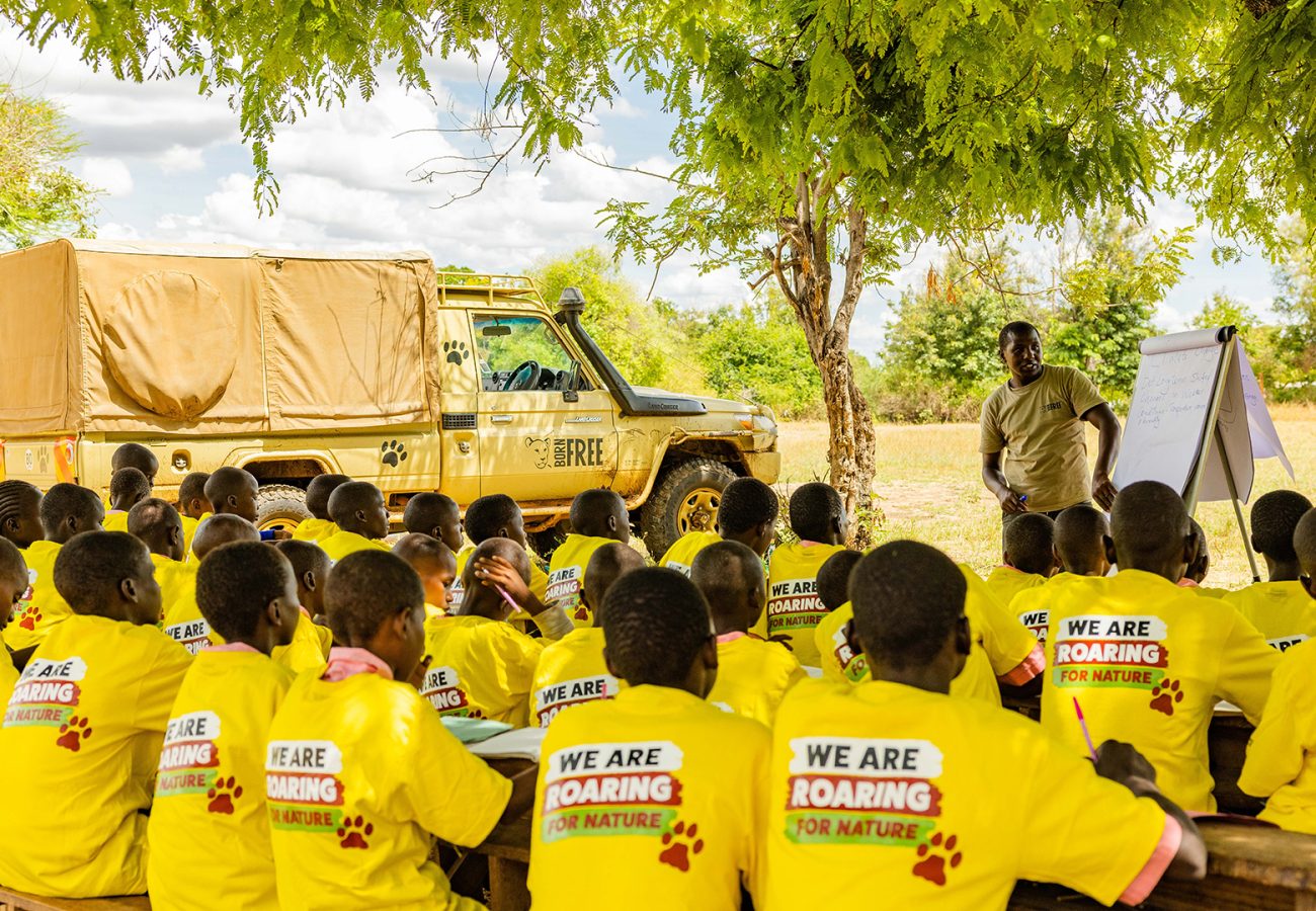 A large group of Kenyan school cildren sit with their backs to camera, facing a man in a Born Free shirt stood next to a flip chart. The children are all wearing matching yellow T-shirts with 'We are roaring for nature' logos on the back