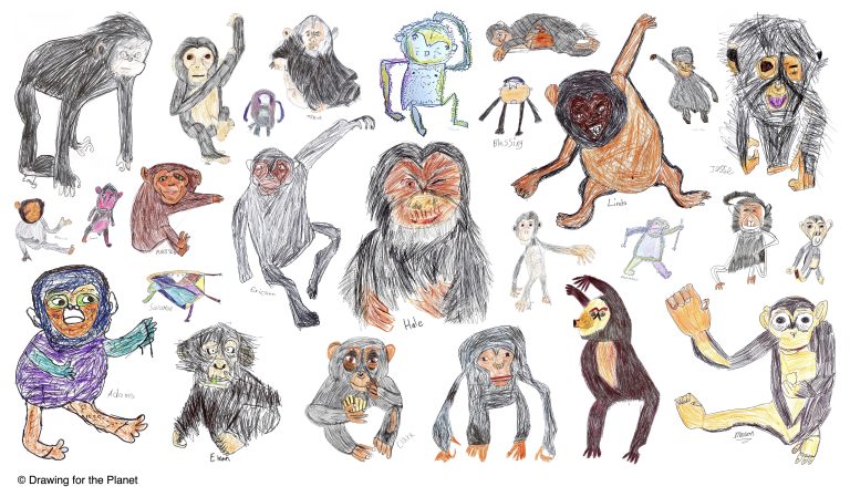 Montage of chimpanzee artwork featuring drawings by UK, USA and Liberian children.