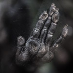 A close-up image of a monkey's hand pressed up against glass