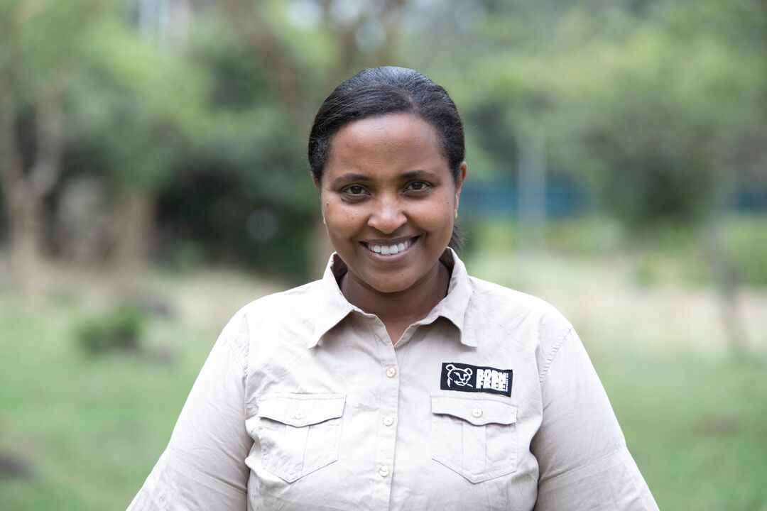 A headshot of Bezunesh Kebede