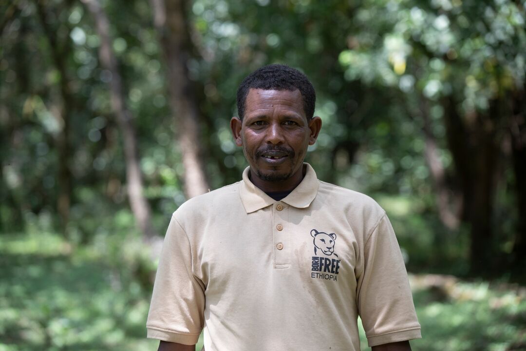 A headshot of Dereje Bekele
