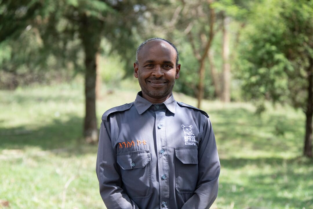 A headshot of Endalkachew Alemu