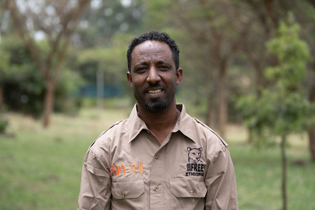 A headshot of Melese Workineh