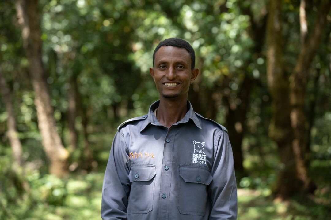 A headshot of Mesfin Bekele