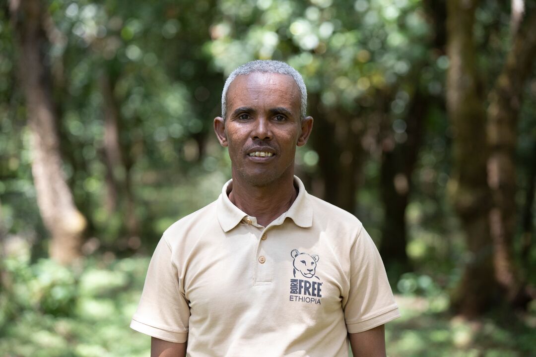 A headshot of Mulugeta Mekonin