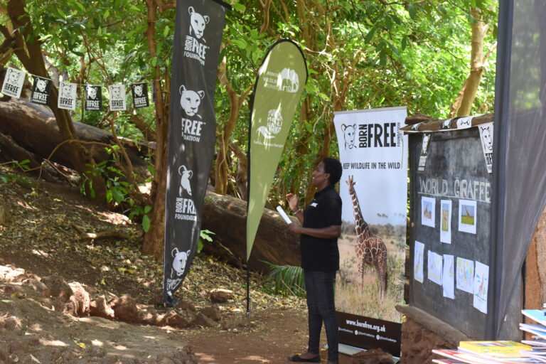 GIRAFFE DAY CELEBRATIONS IN KENYA