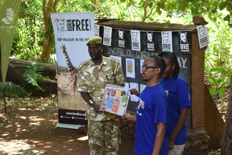 GIRAFFE DAY CELEBRATIONS IN KENYA