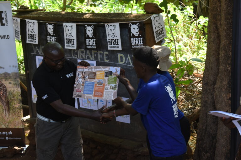 GIRAFFE DAY CELEBRATIONS IN KENYA