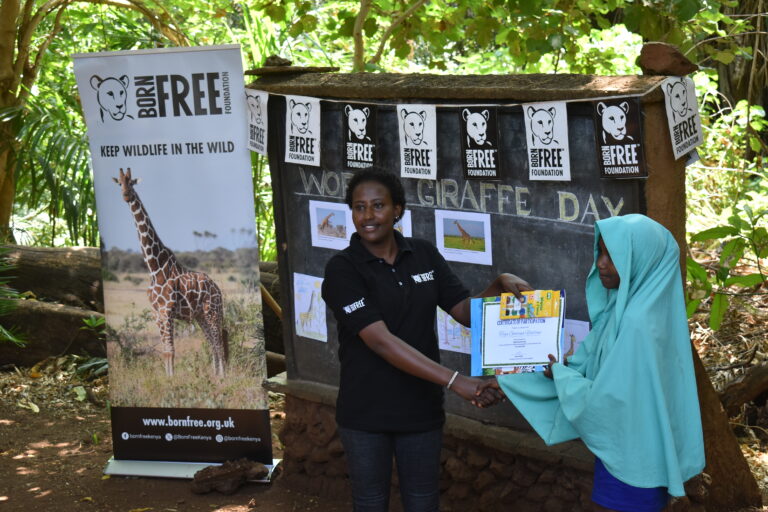 GIRAFFE DAY CELEBRATIONS IN KENYA