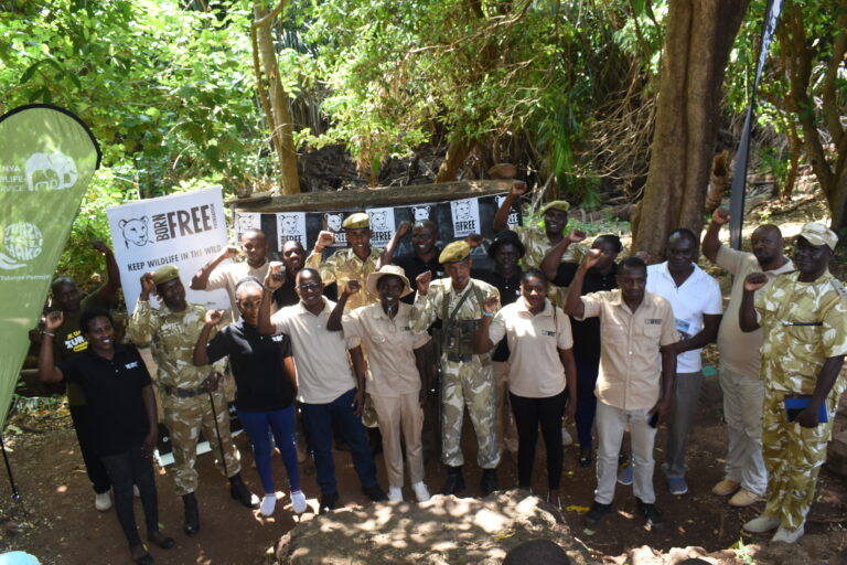 GIRAFFE DAY CELEBRATIONS IN KENYA