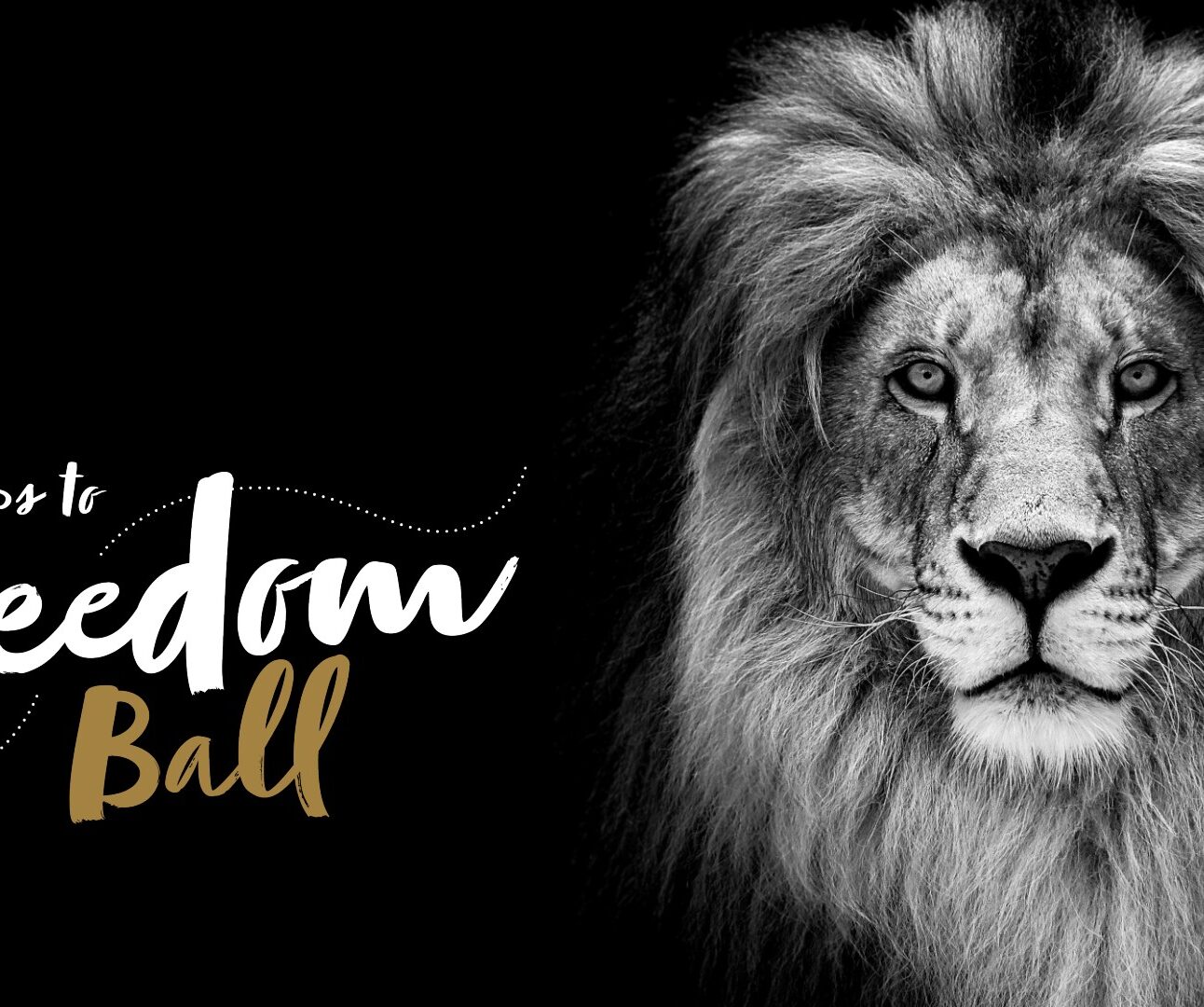 A black and white portrait photo of a lion, with the Footsteps to Freedom logo to the left hand side of the image