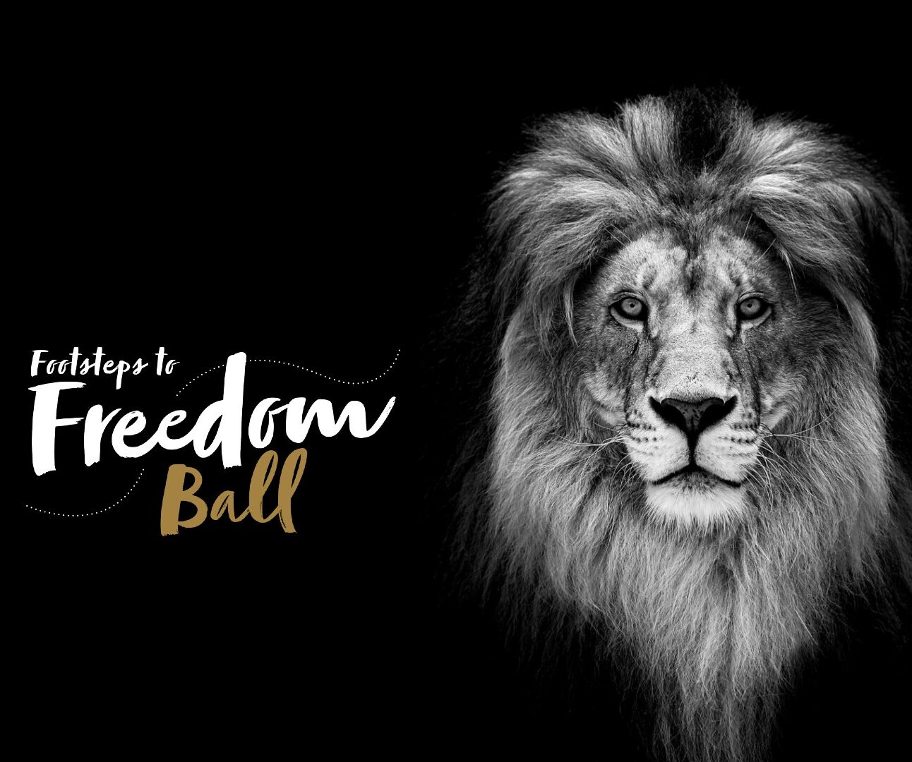 A black and white portrait of a lion with the Footsteps to Freedom logo on the left side of the image
