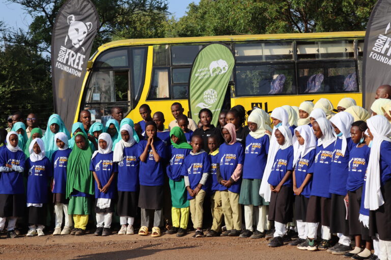 GIRAFFE DAY CELEBRATIONS IN KENYA
