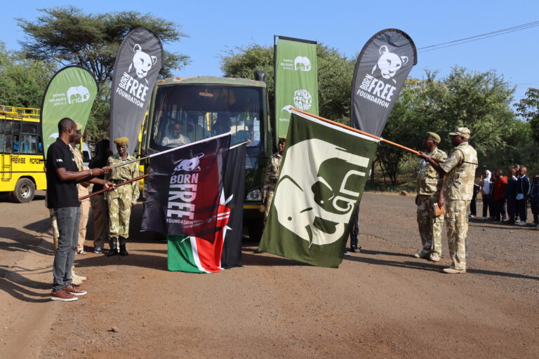 GIRAFFE DAY CELEBRATIONS IN KENYA