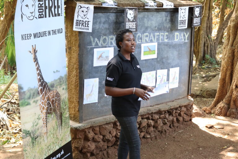 GIRAFFE DAY CELEBRATIONS IN KENYA