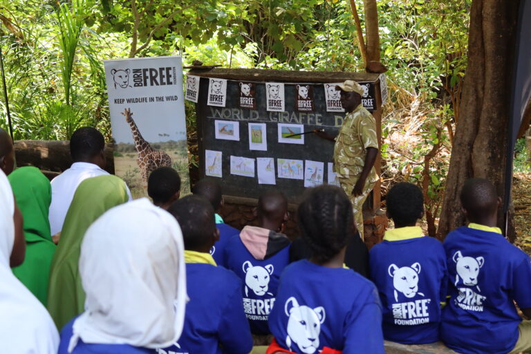 GIRAFFE DAY CELEBRATIONS IN KENYA