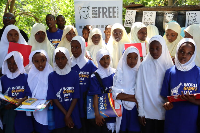 GIRAFFE DAY CELEBRATIONS IN KENYA