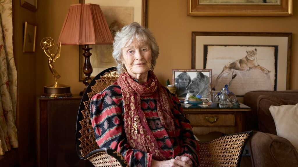 A portrait of Virginia McKenna at home with Born Free memorabilia