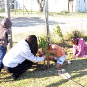 Children planting trees