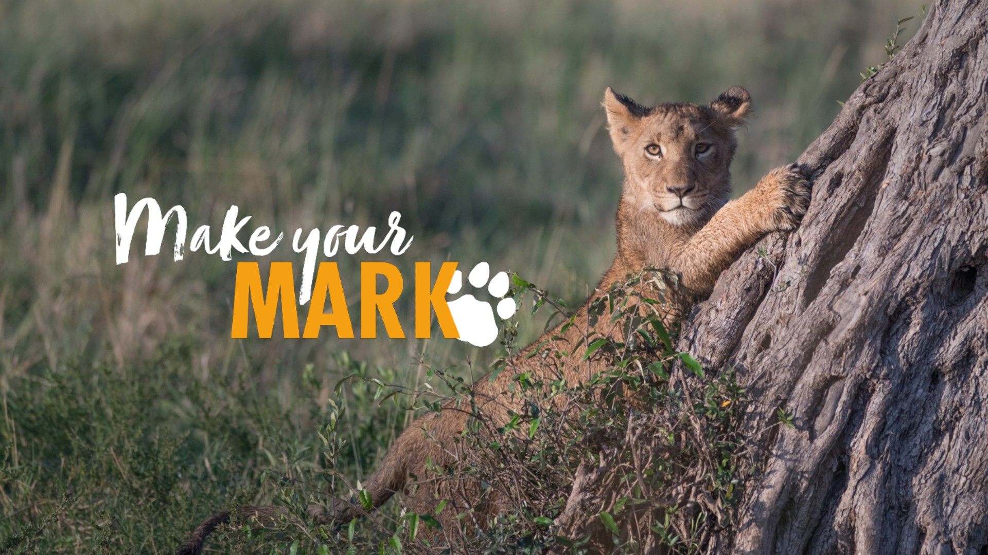 A lion cub clawing at a tree trunk with the logo 'Make your Mark'