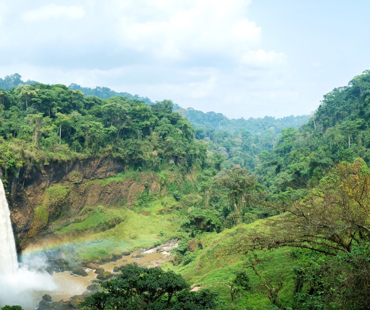 A vast rainforest with waterfall in Cameroon