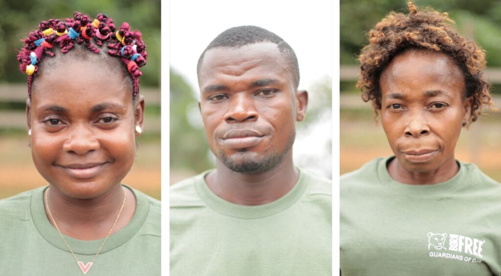 Three headshots of Great Ape Guardians side-by-side