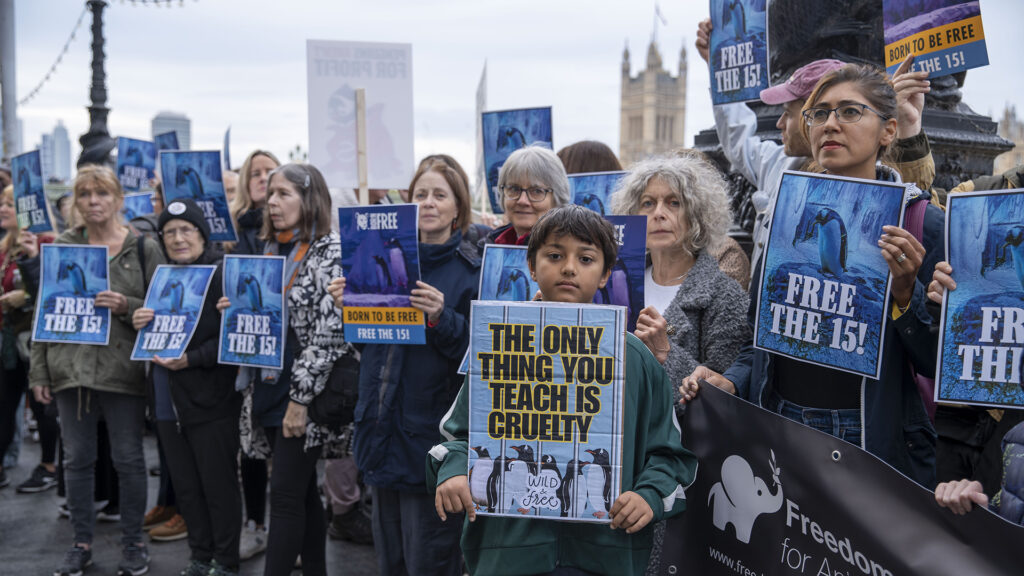 A group of protestors holding 'Free the 15' placards