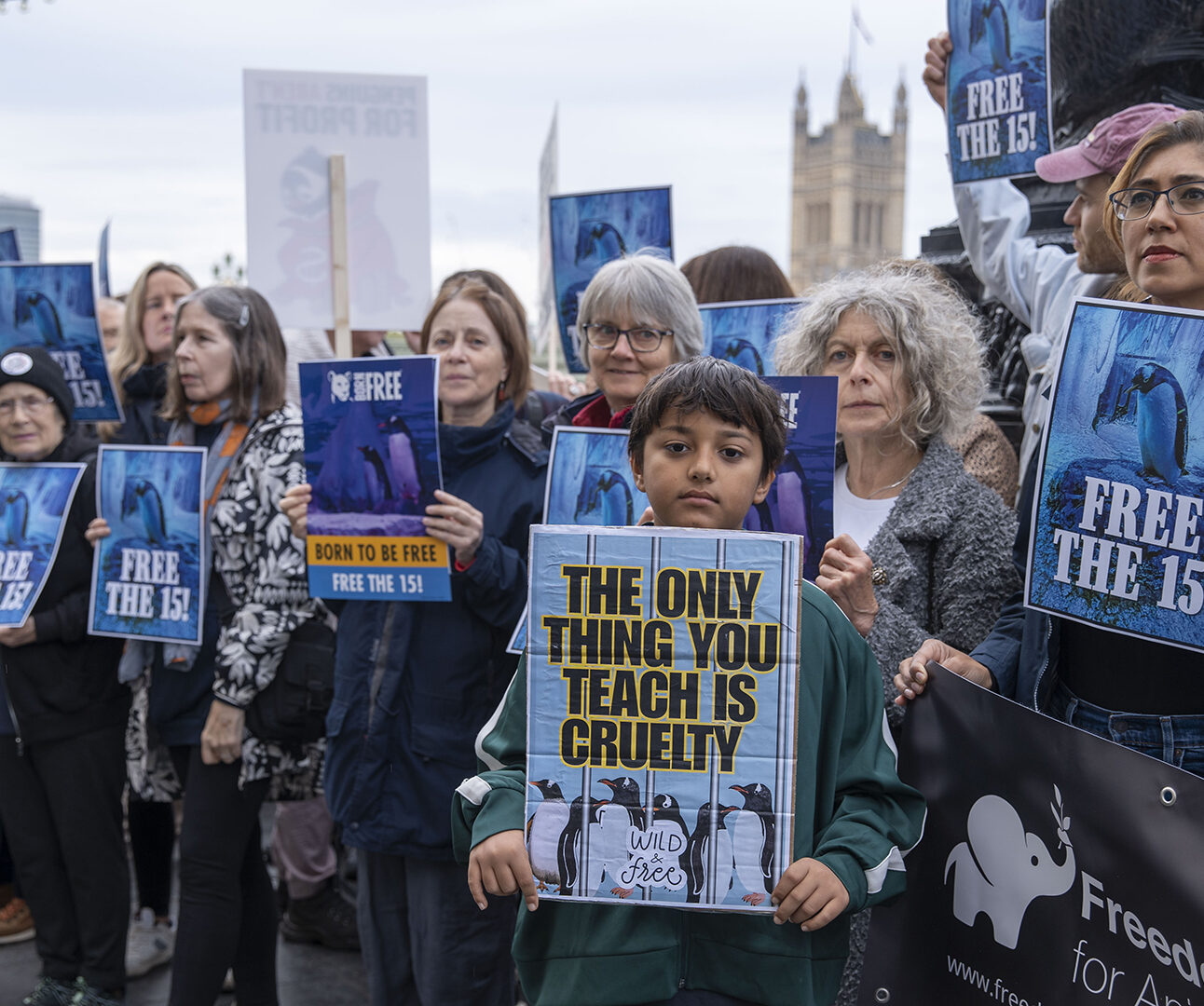 A group of protestors holding 'Free the 15' placards