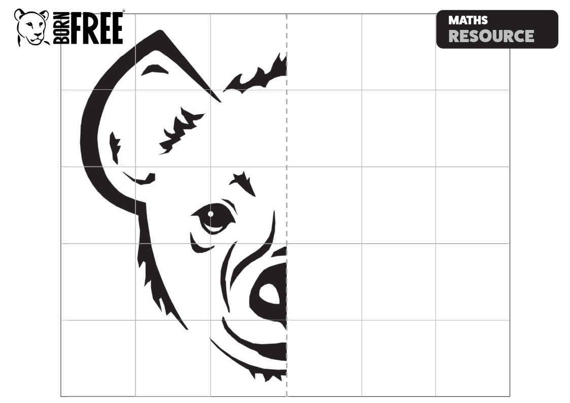 A spotted hyena symmetry worksheet