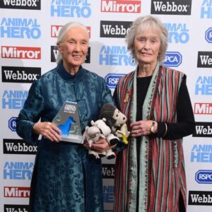Dr Jane Goodall with the Lifetime Achievement Award with presented by Virginia McKenna at the Animal Hero Awards 2018