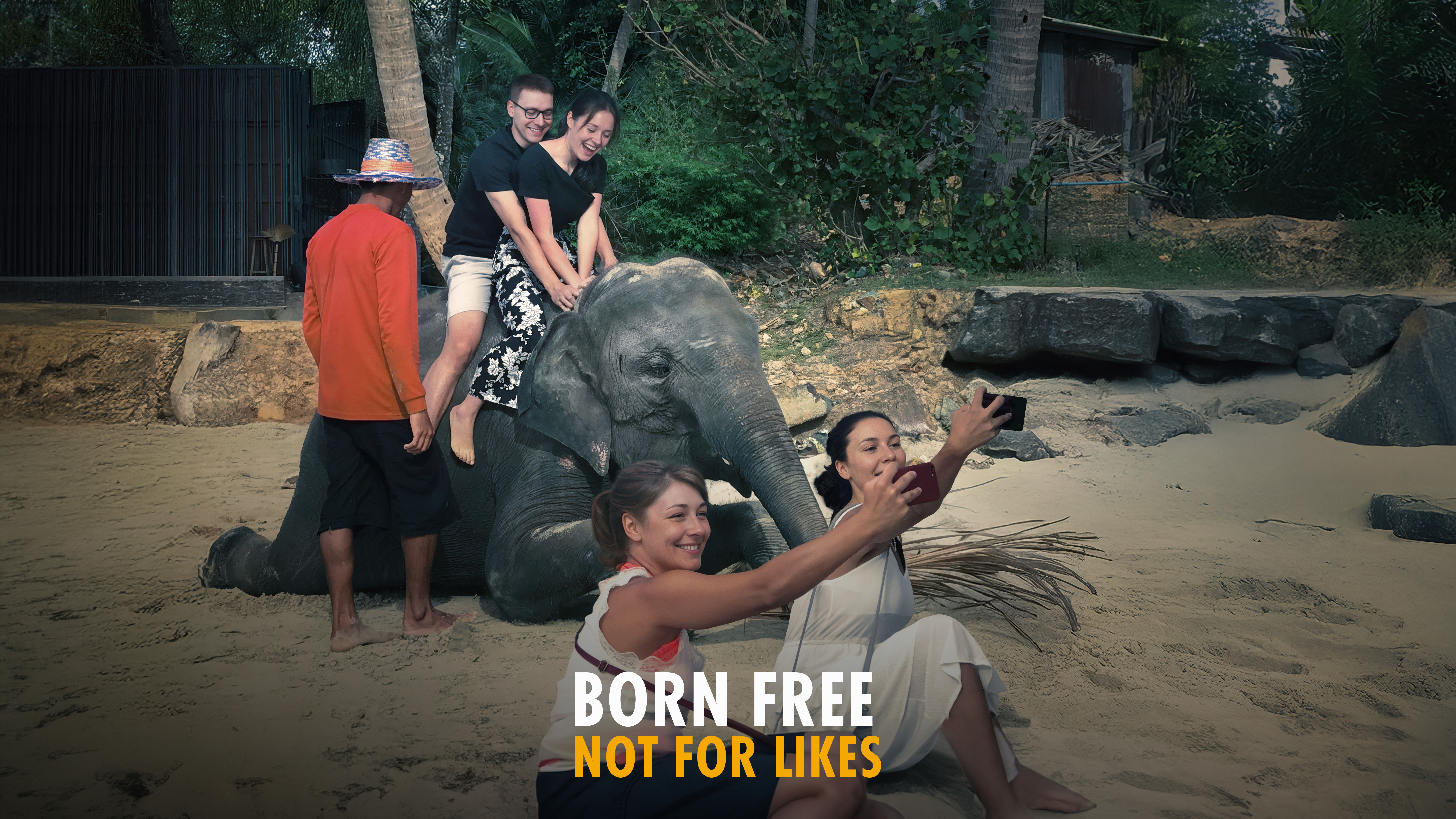 An elephant is neeling on the ground, with two boys riding on its back and two girls in front taking a selfie