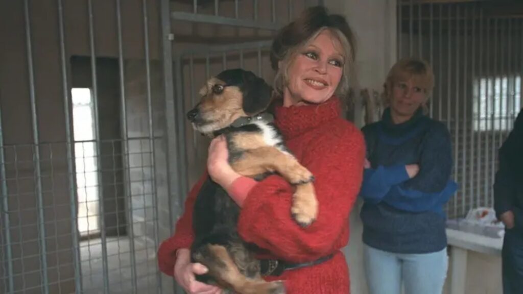 Brigitte Bardot holding a dog in a shelter