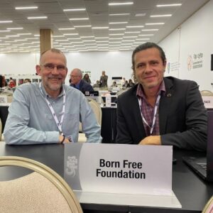 Dr Mark Jones and Gabriel Fava sitting at a desk in a conference room at CITES CoP20