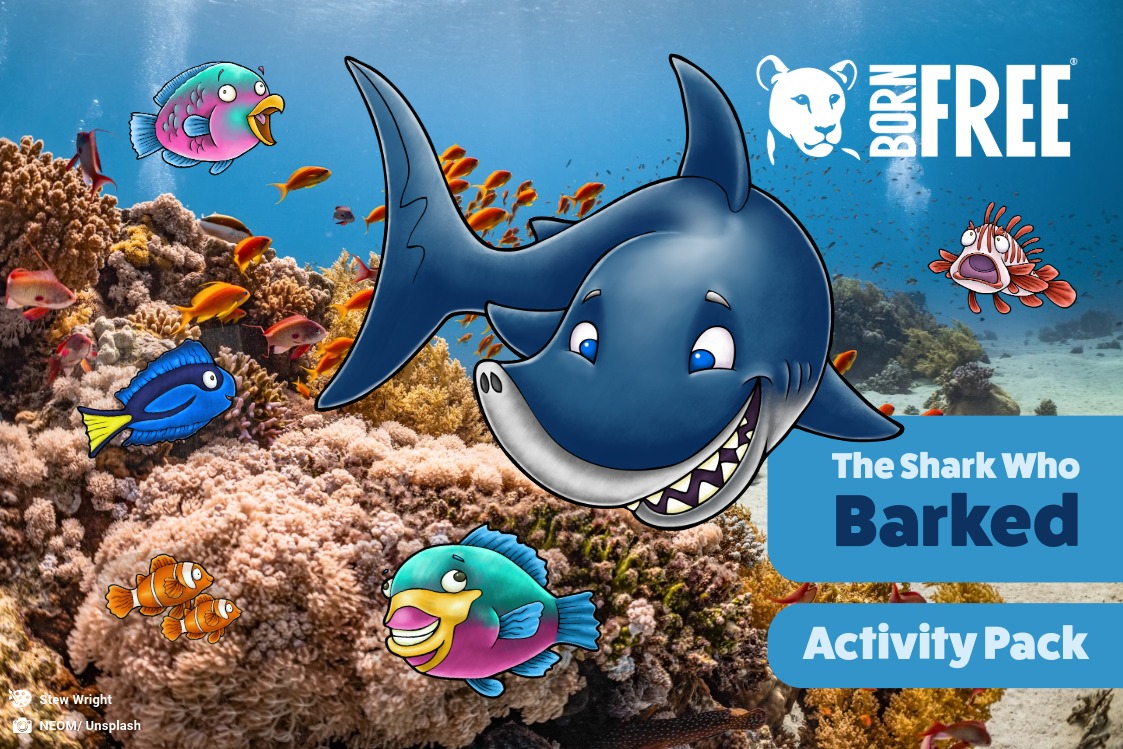 A cartoon image of a friendly shark with Born Free logo and text reading The Shark Who Barked Activity Pack