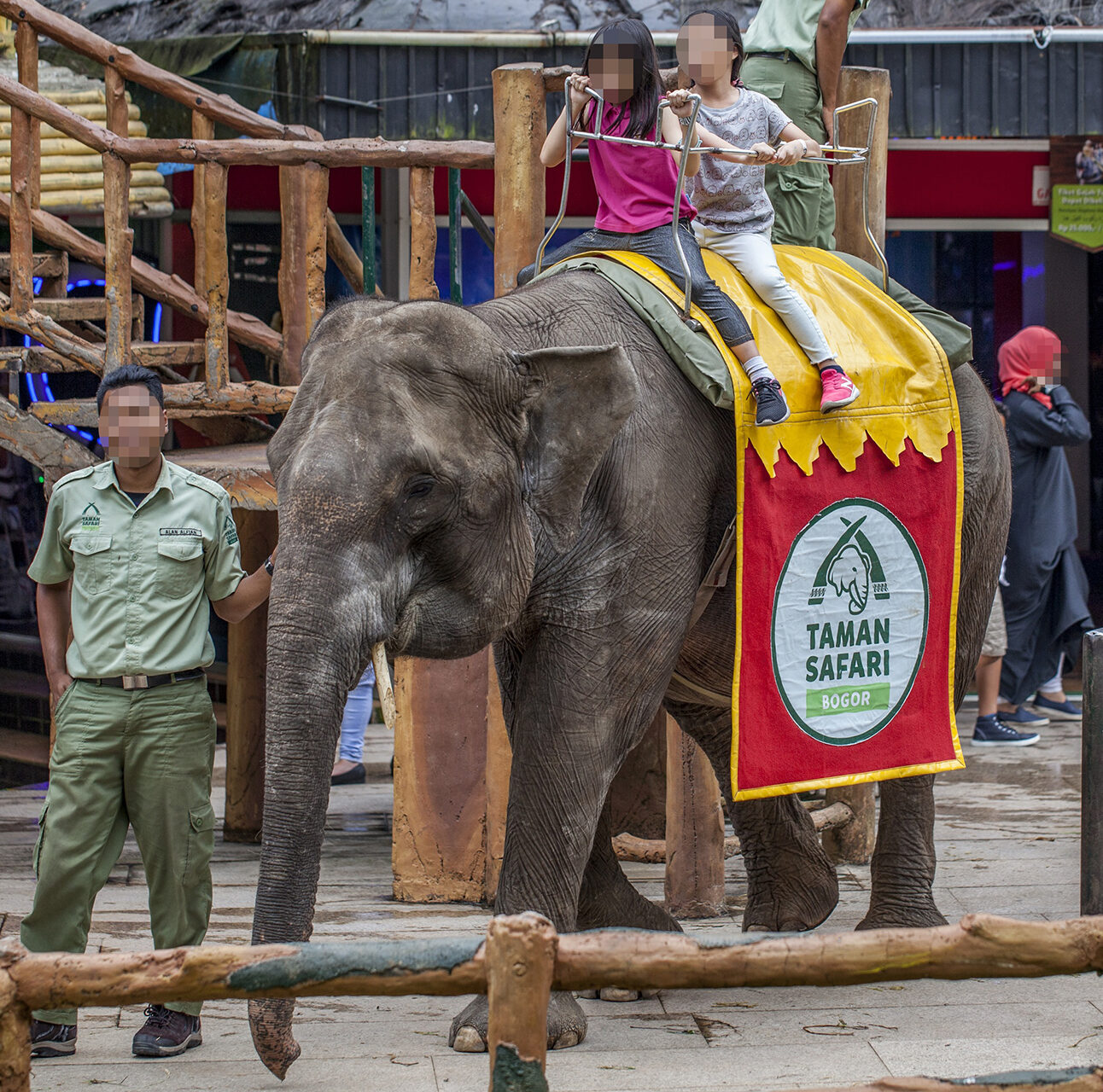 An elephant with two children riding it, with a Taman Safari blanket over the elephant