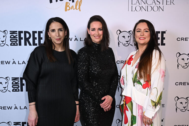 Footsteps to Freedom in pictures