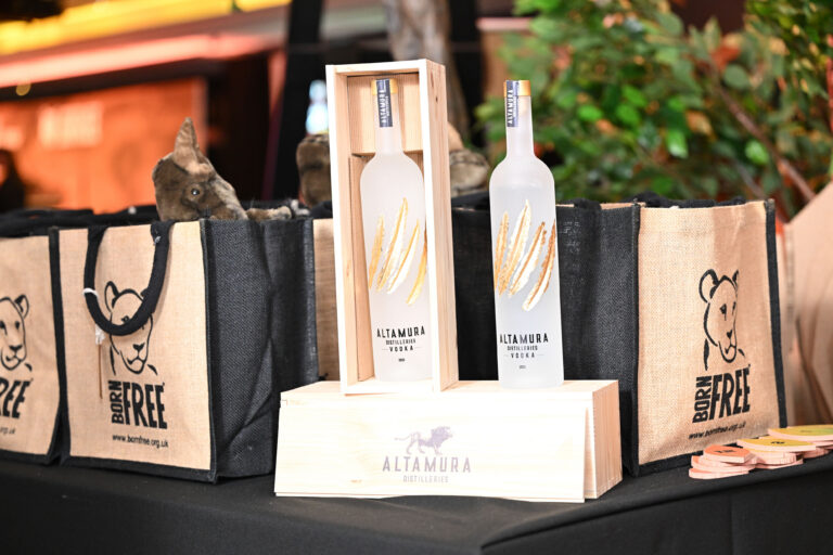 Footsteps to Freedom in pictures