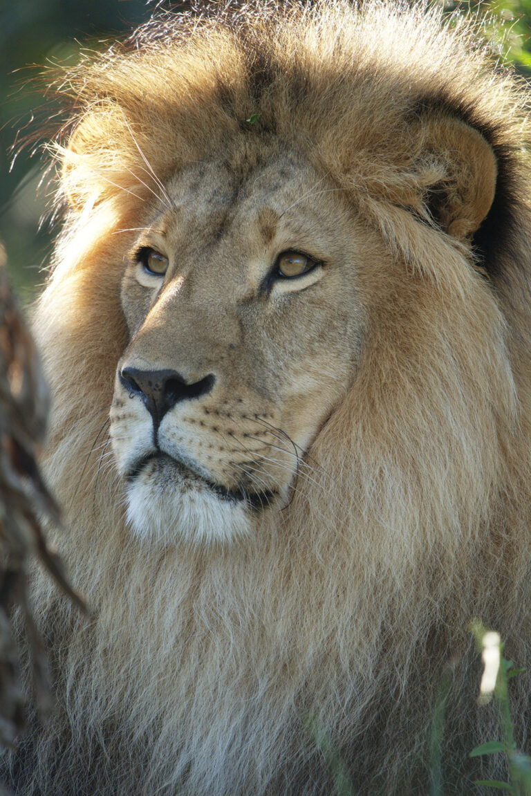 Tsar and Jamil - 2 years on