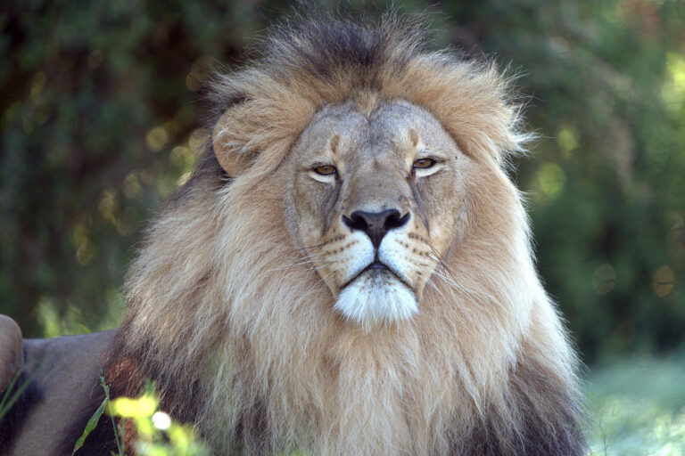 Tsar and Jamil - 2 years on