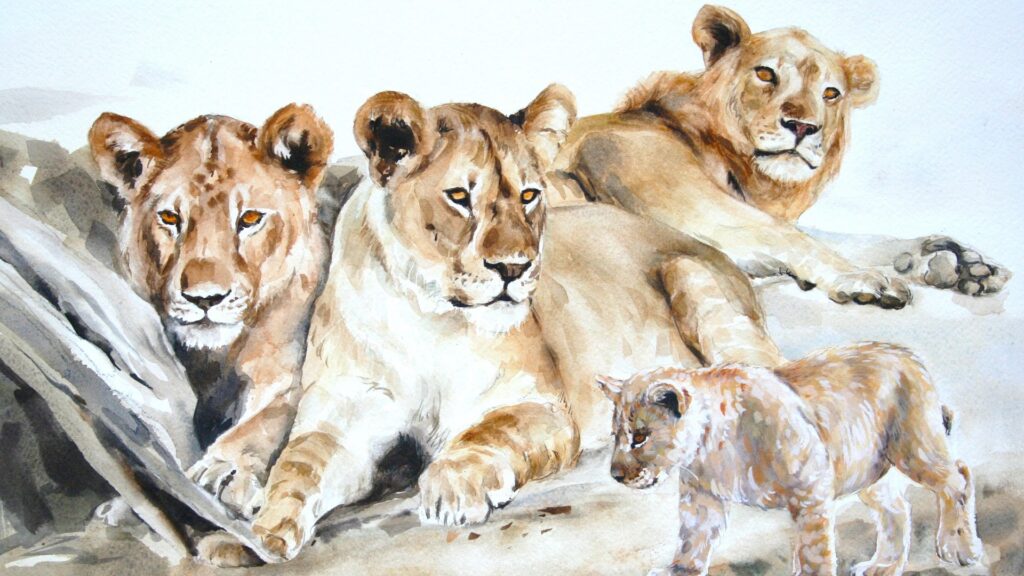 Watercolor painting of three adult lions and one cub resting on a rocky surface. The artwork highlights detailed fur textures and natural coloration, capturing a serene moment in a pride's life.
