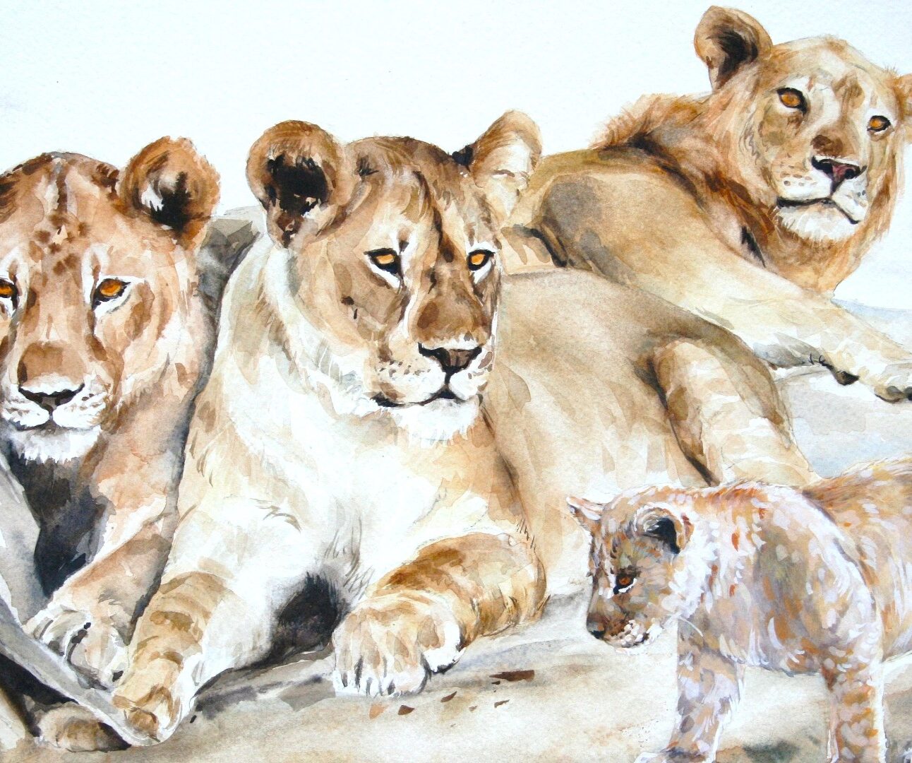Watercolor painting of three adult lions and one cub resting on a rocky surface. The artwork highlights detailed fur textures and natural coloration, capturing a serene moment in a pride's life.