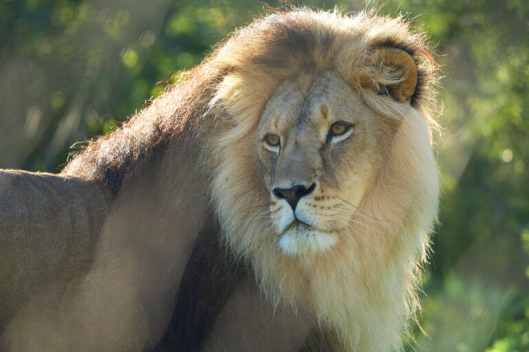 Tsar and Jamil - 2 years on